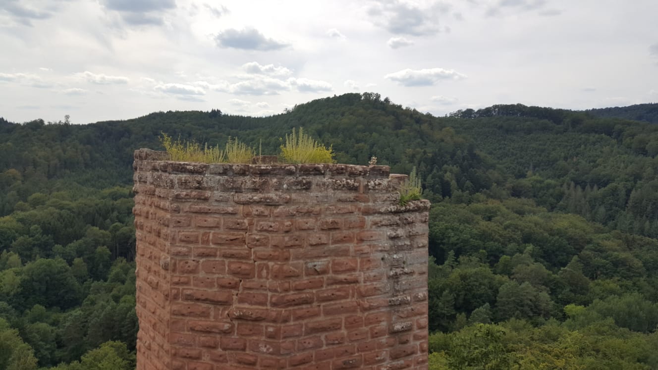 Photo n° 3 de l'avis de Philippe.o fait le 20/07/2020 à 11:01