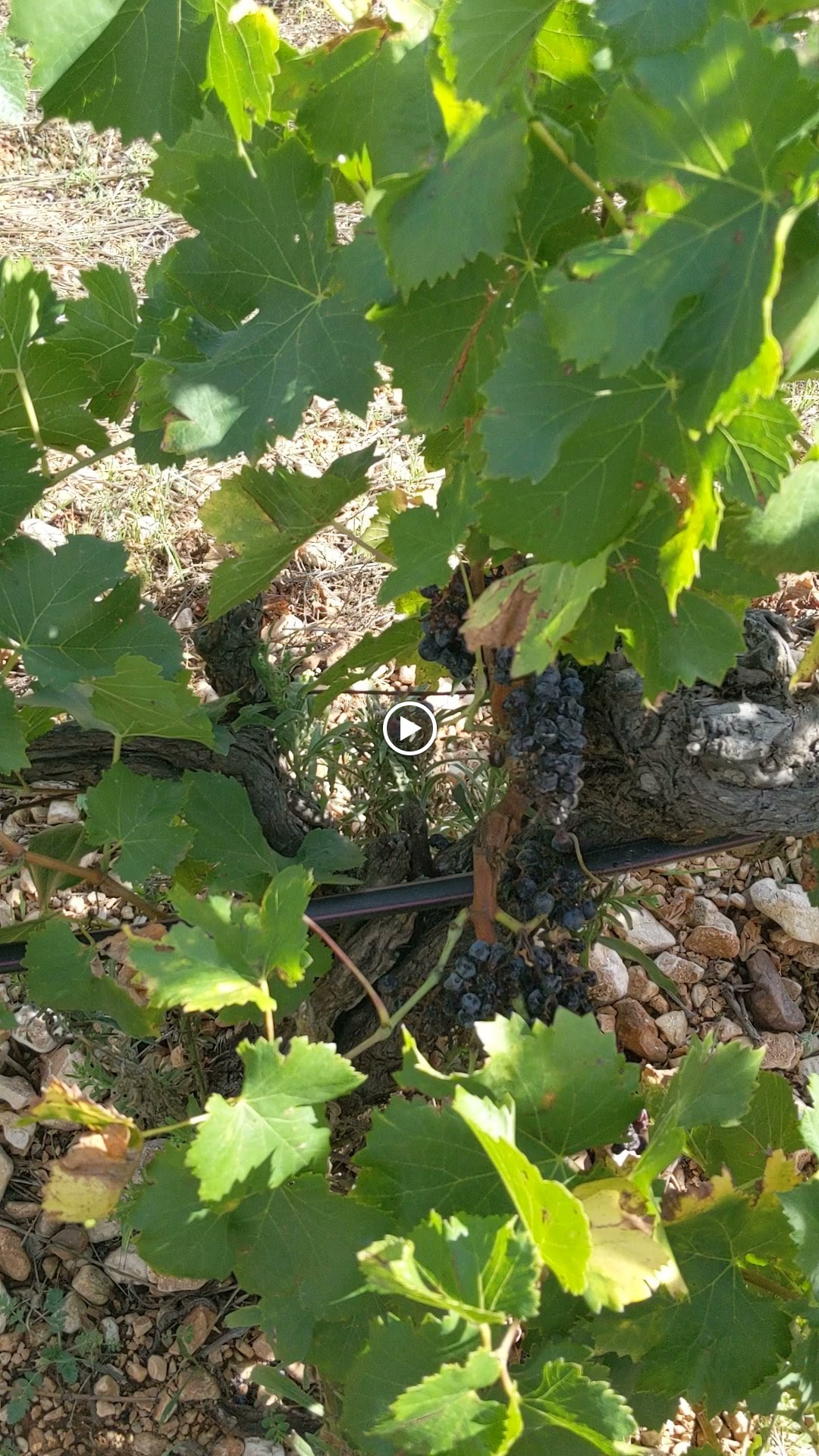 Photo n° 5 de l'avis de June.r fait le 28/09/2021 à 16:56