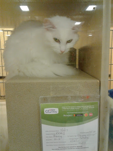 Pet Supply Store «PetSmart», reviews and photos, 5890 Trussville Crossings Pkwy, Birmingham, AL 35235, USA