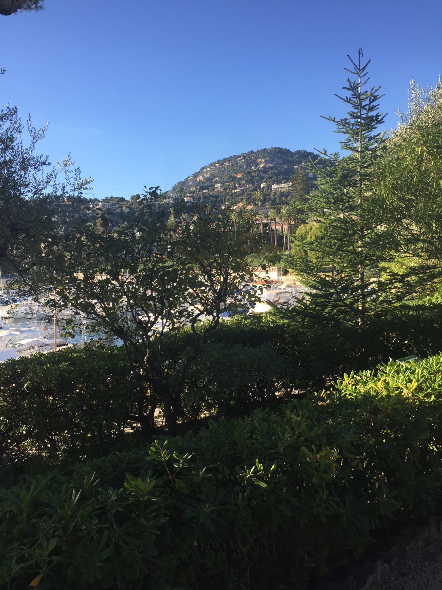 Photo n° 10 de l'avis de Jean-François.O fait le 17/11/2017 à 19:18