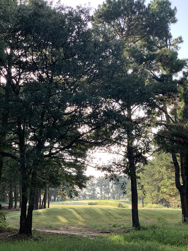 Golf Course «Pine Dunes Golf Course», reviews and photos, 159 Private Rd 7019, Frankston, TX 75763, USA