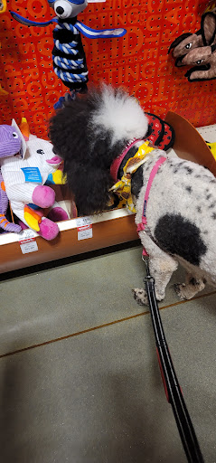 Pet Supply Store «PetSmart», reviews and photos, 139 Rolling Hills Cir, Easley, SC 29640, USA