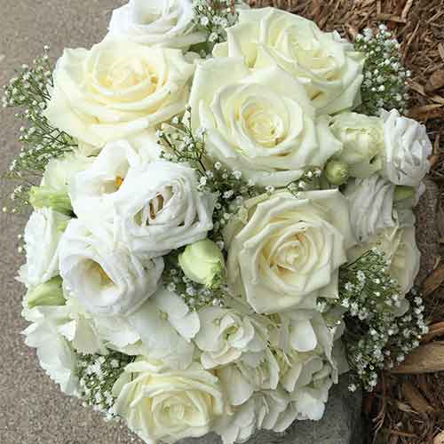 Florist «Chelsea Village Flowers», reviews and photos, 112 E Middle St, Chelsea, MI 48118, USA