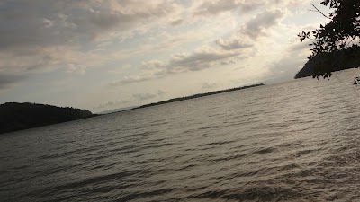 Photos of Golfito Monkey Tours