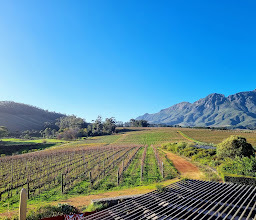 Glenelly Estate photo