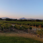 Photo n°3 de l'avis de Davide.a fait le 24/07/2022 à 12:44 sur le  Masi Tenuta Canova à Lazise