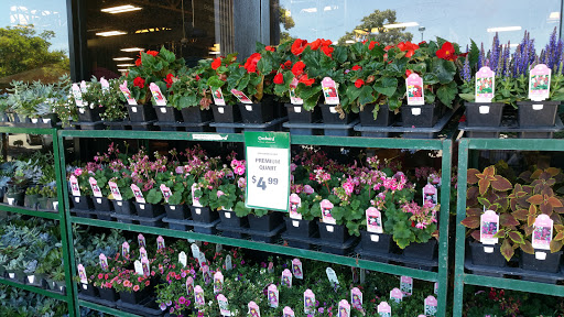 Hardware Store «Orchard Supply Hardware», reviews and photos, 1450 First St, Livermore, CA 94550, USA