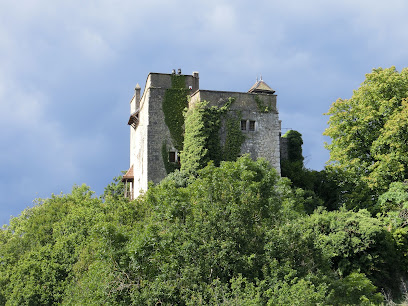 Château d'Arcine