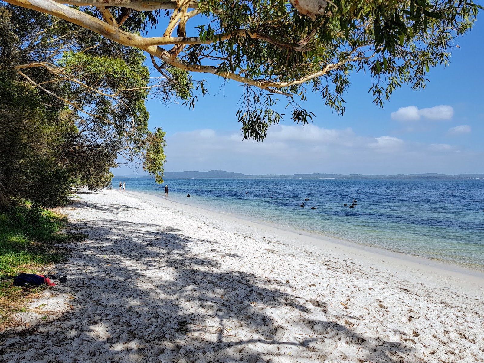 Bagnalls Beach的照片 带有米色沙子表面
