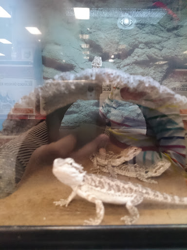 Pet Supply Store «Petco Animal Supplies», reviews and photos, 1425 N Montebello Blvd, Montebello, CA 90640, USA