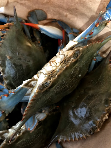 Asian Grocery Store «Phan Thiet Oriental Market», reviews and photos, 497 Schmale Road, Carol Stream, IL 60188, USA