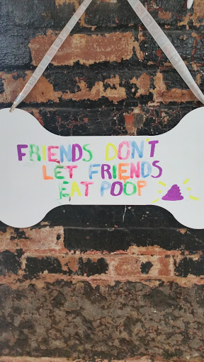 Pet Supply Store «Animal Outfitters, Inc.», reviews and photos, 986 Elmwood Ave, Buffalo, NY 14222, USA