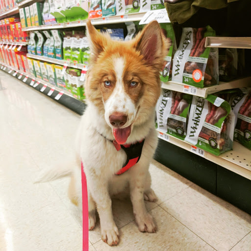 Pet Supply Store «Pet Supplies Plus», reviews and photos, 18610 W Bluemound Rd, Brookfield, WI 53045, USA