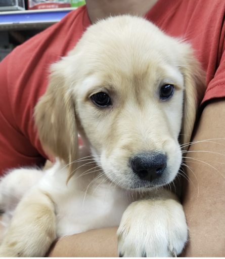 Animal Feed Store «Farmland Pets & Feed», reviews and photos, 9000 Silverdale Way NW, Silverdale, WA 98383, USA