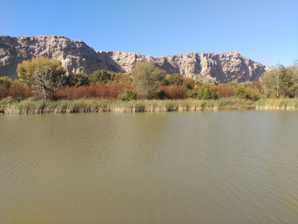 Nuestro Lago