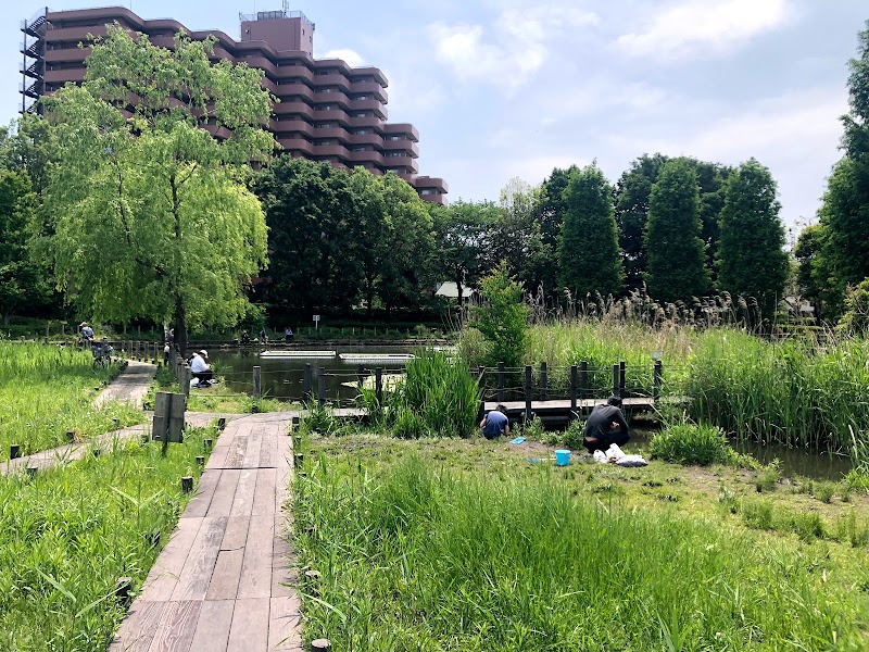 川口自然公園 埼玉県川口市差間 公園 グルコミ