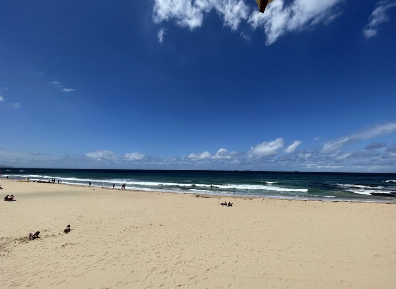 Foto af Wollongong Beach - populært sted blandt afslapningskendere