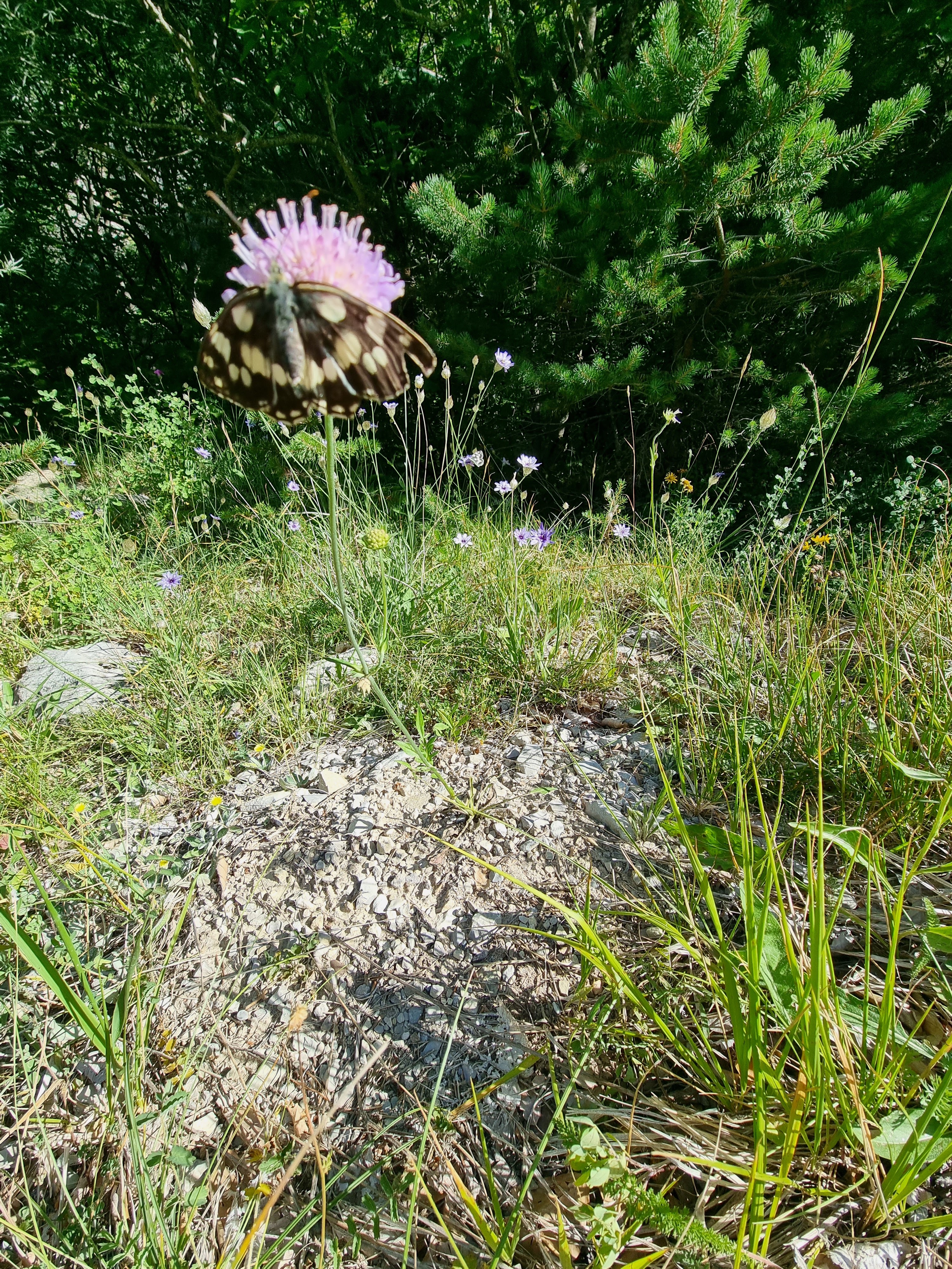 Photo n° 30 de l'avis de Viktória.i fait le 16/07/2022 à 13:58