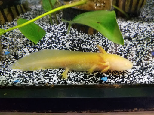 Pet Supply Store «Petco Animal Supplies», reviews and photos, 10 Sylvan St, Peabody, MA 01960, USA