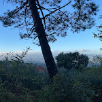 Photo n°2 de l'avis de Wolfgang.r fait le 05/11/2023 à 19:58 sur le  Albergo Ristorante Da Archimede Di Pierluigi Marziali à Reggello