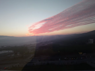 Muğla Üniversitesi Öğrenci Konsey Başkanlığı