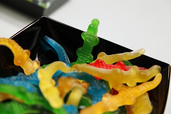 Geko Fotografia Pamplona