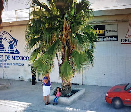 MINERO DIESEL DE MEXICO photo