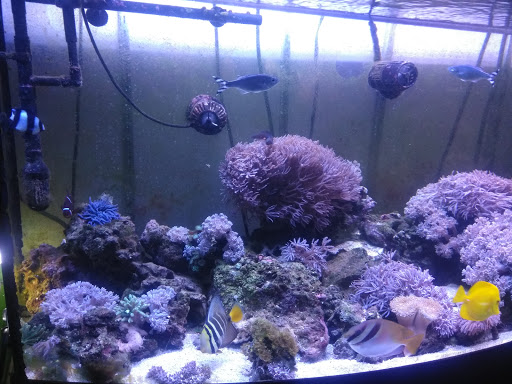 Used Auto Parts Store «Arite Used Auto Parts», reviews and photos, 116 Christian Ln, New Britain, CT 06051, USA