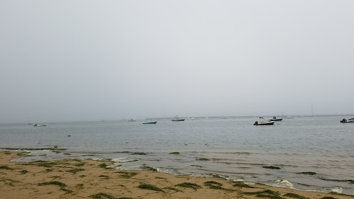 Coffee Shop «Wired Puppy», reviews and photos, 379 Commercial St, Provincetown, MA 02657, USA