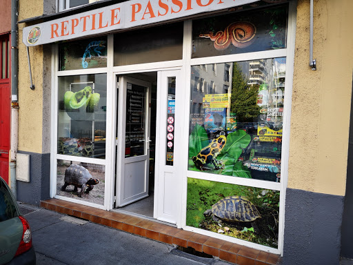 ReptilePassion