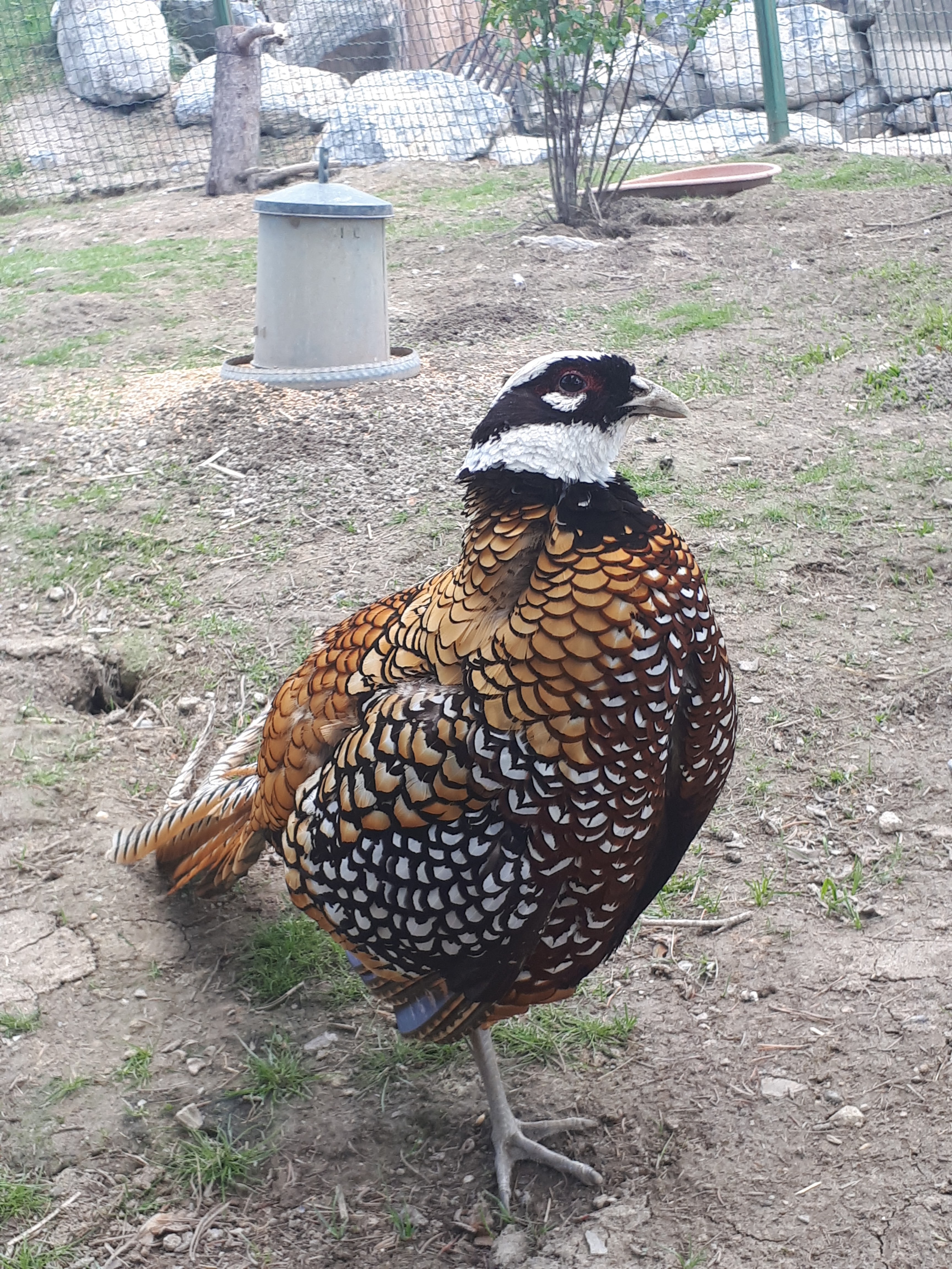 Photo n° 4 de l'avis de Nath.� fait le 16/05/2018 à 21:32