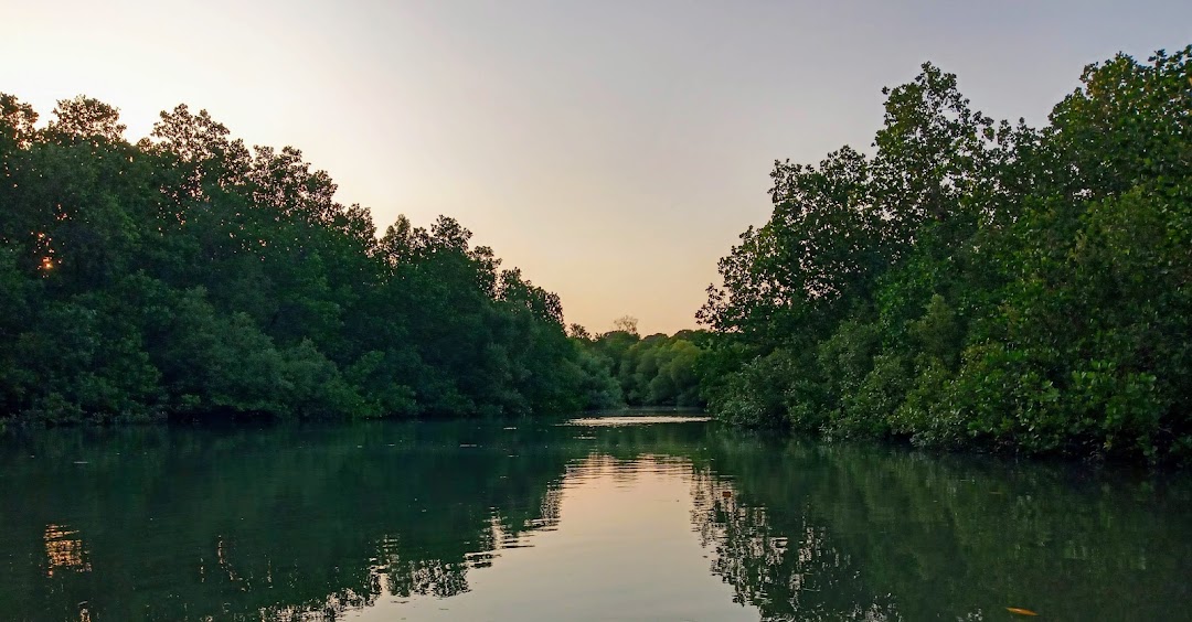 Chake Chake, Tanzanya