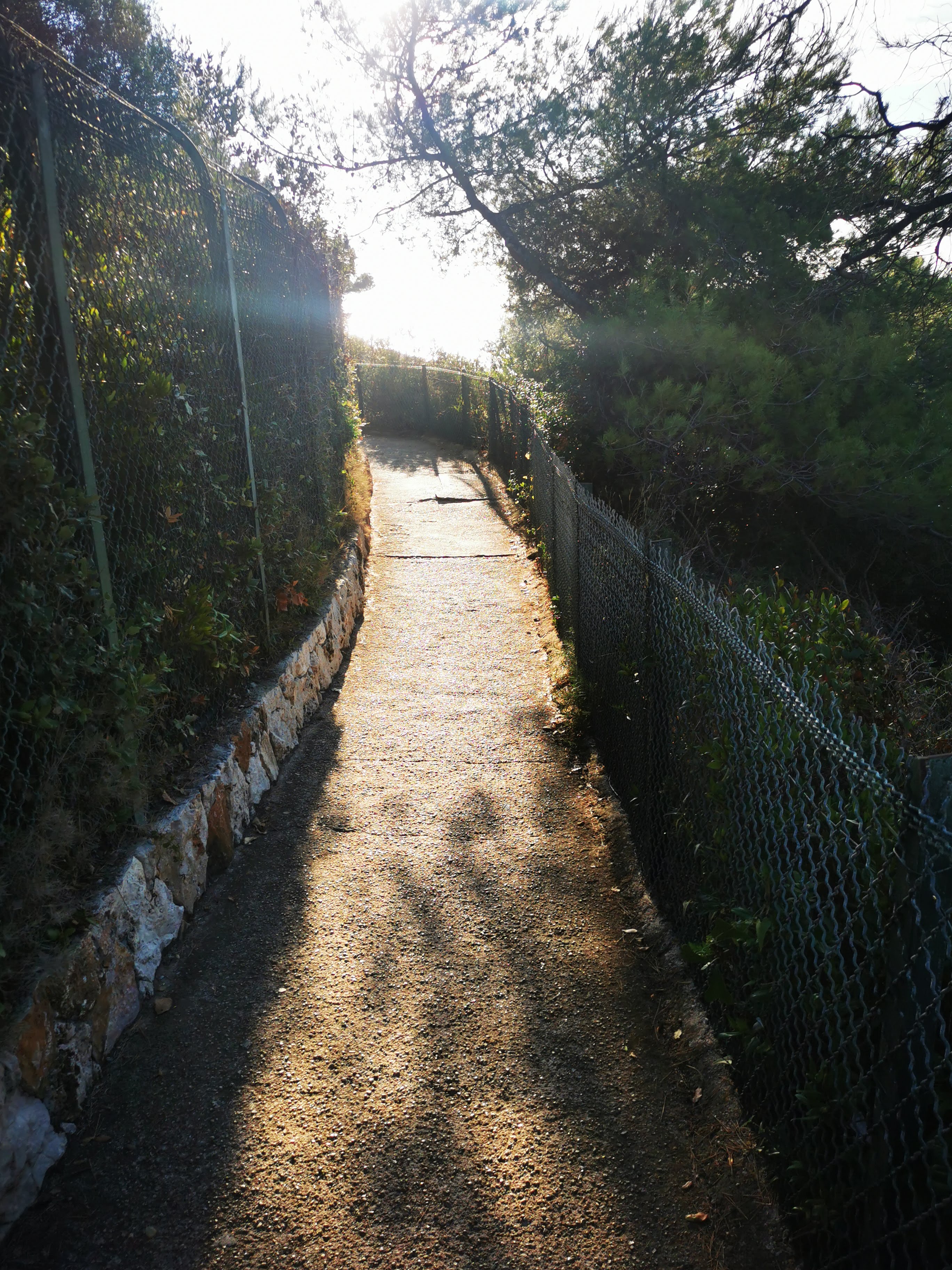 Photo n° 6 de l'avis de fabienne1807. fait le 27/10/2021 à 16:12