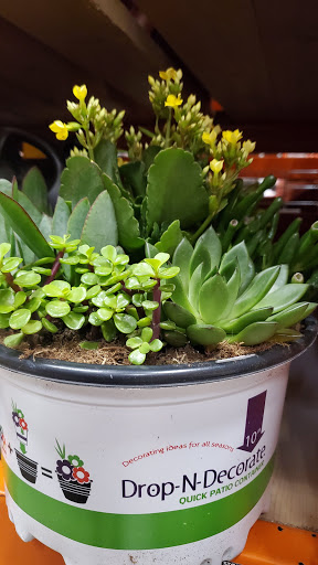 Home Improvement Store «The Home Depot», reviews and photos, W 12871 I-10, San Antonio, TX 78249, USA