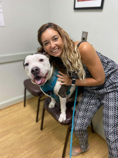 Hilton Animal Hospital image