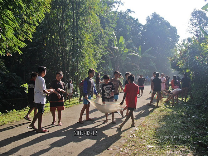 Mengungkap 3 Area Pengamatan Burung di Kabupaten Tabanan: Tempat Menakjubkan untuk Menyaksikan Keanekaragaman Burung