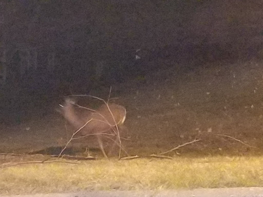 Park «Sprain Ridge Park», reviews and photos, 149 Jackson Ave, Hastings-On-Hudson, NY 10706, USA