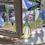 Photo n°5 de l'avis de Ilona.c fait le 01/08/2023 à 09:11 sur le  Wirtshaus Zum Weißen Ross à Bad Breisig