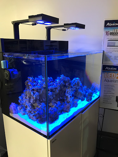 Pet Store «WorldWide Fish & Pets», reviews and photos, 61 Amity Rd, New Haven, CT 06515, USA