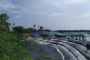 Punalvasal Lake image