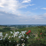 Photo n°2 de l'avis de Alessandro.a fait le 09/06/2023 à 09:09 sur le  Terramare à Cesena