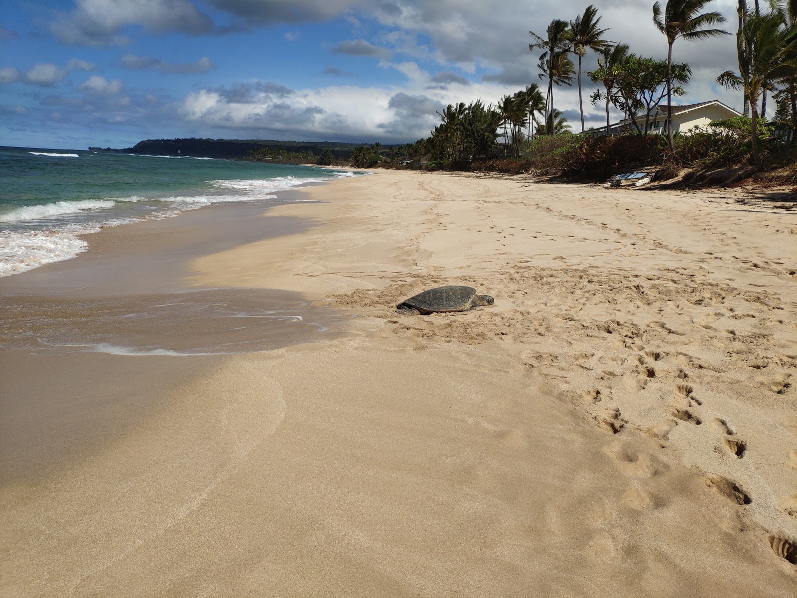 Foto de Papa'Iloa Beach e o assentamento