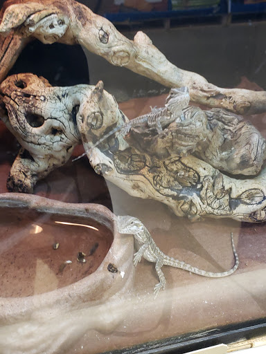 Pet Supply Store «PetSmart», reviews and photos, 159 N Weber Rd, Bolingbrook, IL 60490, USA