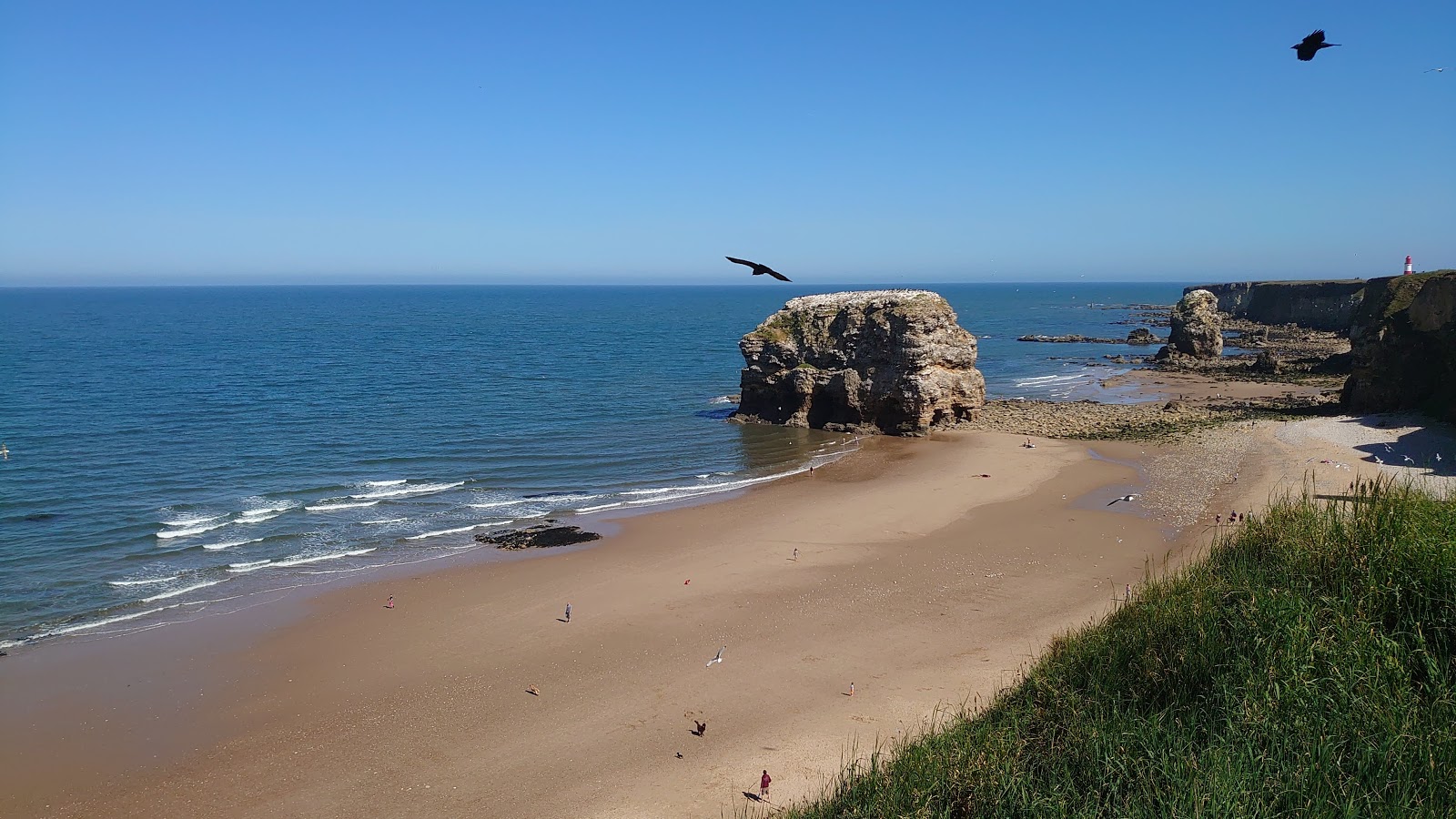 Foto af Marsden strand med lys sand overflade