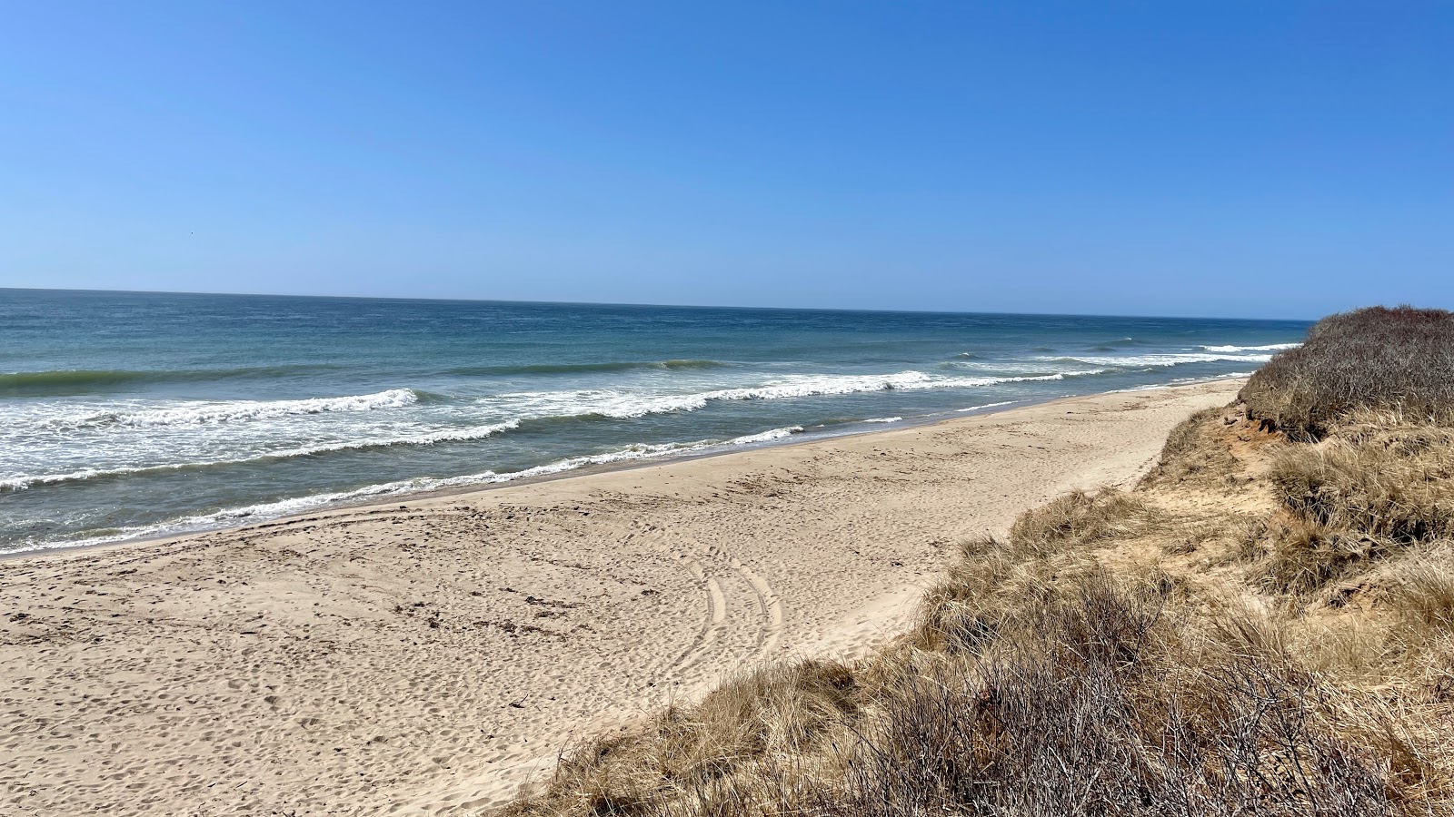 Photo de Pebble Beach zone sauvage