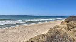 Photo de Pebble Beach zone sauvage