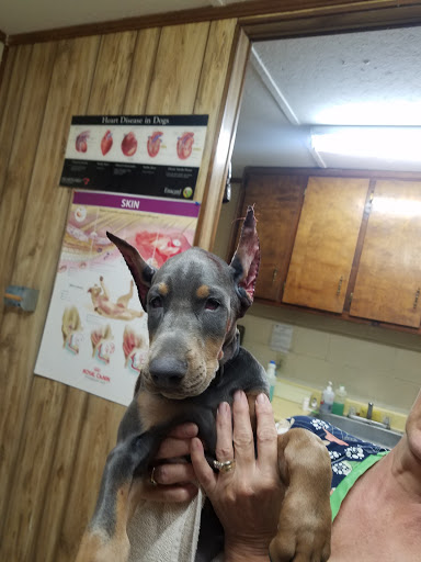 Hall Barrs Animal Clinic image