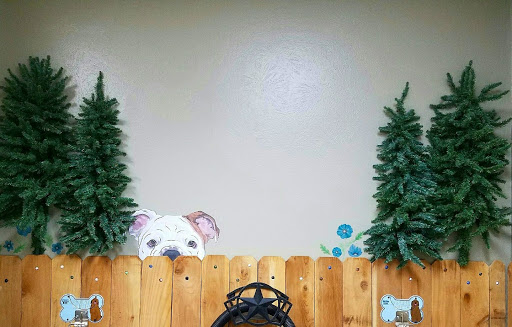 Pet Store «The Green Paw and Spaw», reviews and photos, 908 12th St, Golden, CO 80401, USA