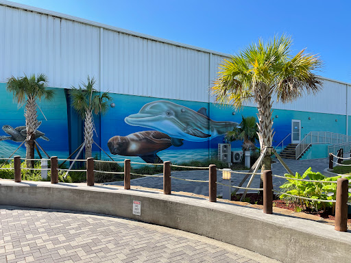 Educational Institution «Institute For Marine Mammal Studies», reviews and photos, 10801 Dolphin Ln, Gulfport, MS 39503, USA