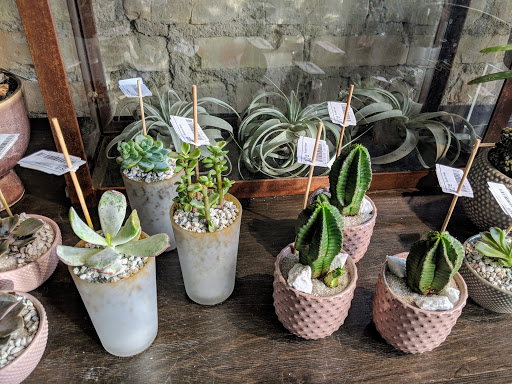 Orchid Grower «Orchid Dynasty», reviews and photos, 959 900 S, Salt Lake City, UT 84105, USA